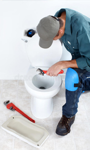clogged toilet fix toilet repairs